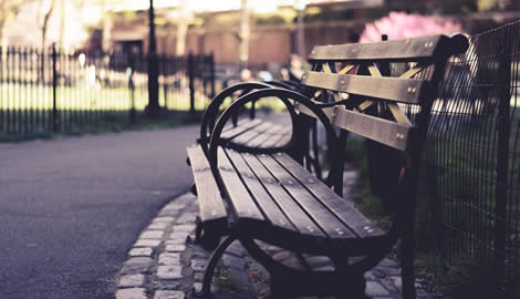 Bench in the park
